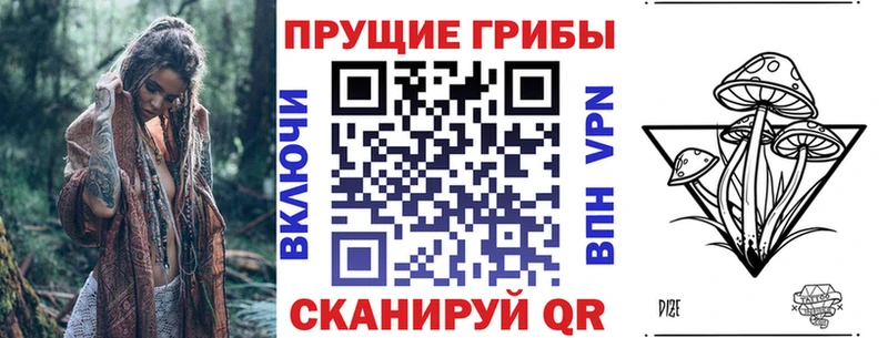 купить наркотики сайты  Спасск  Галлюциногенные грибы Psilocybe 